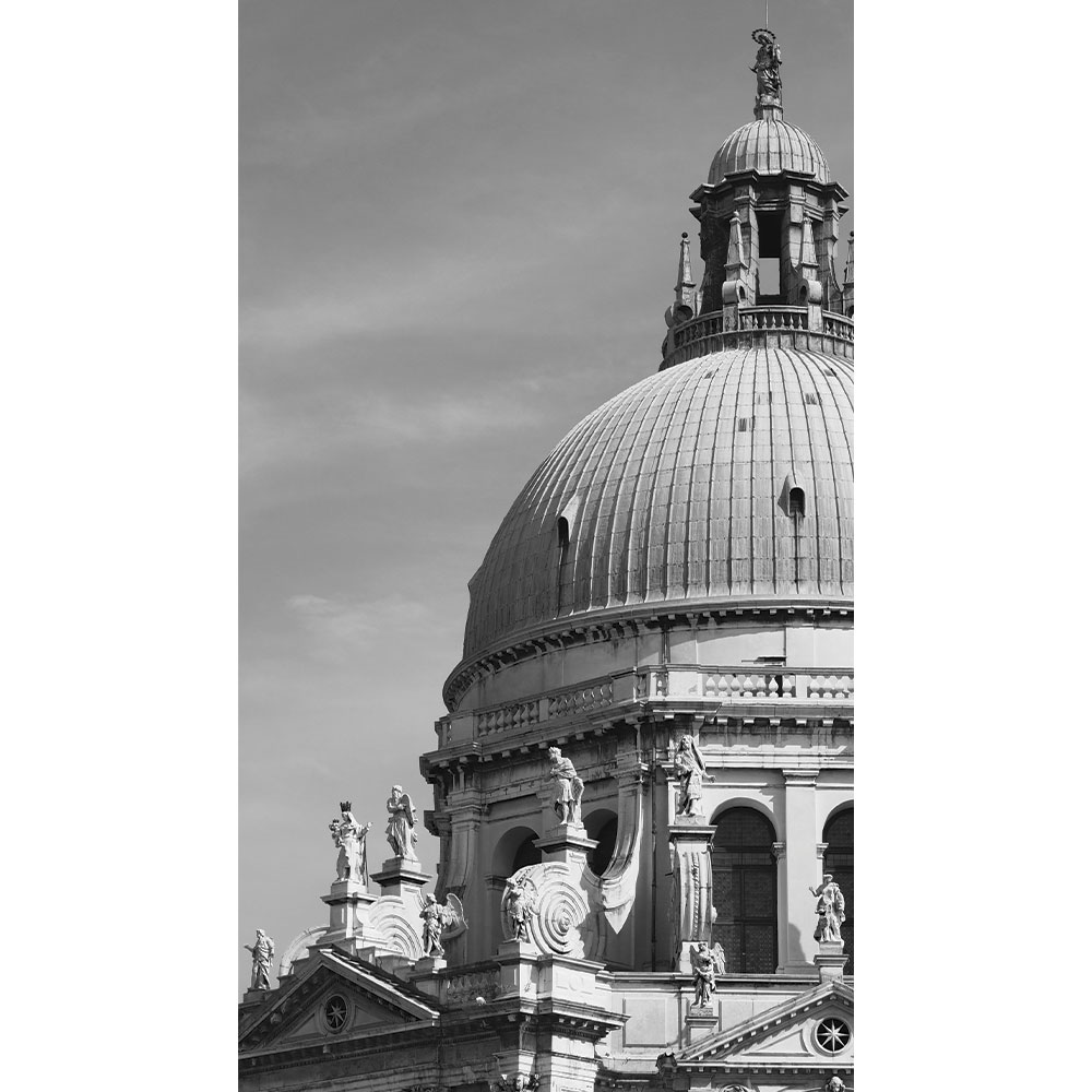 nicole-rhino-photography-dome