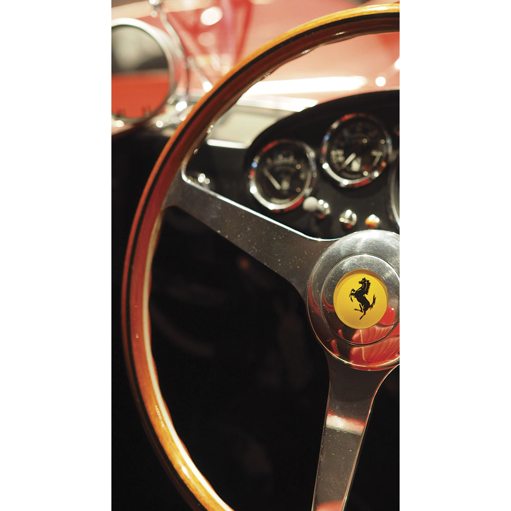 nicole-rhino-photography-ferrari
