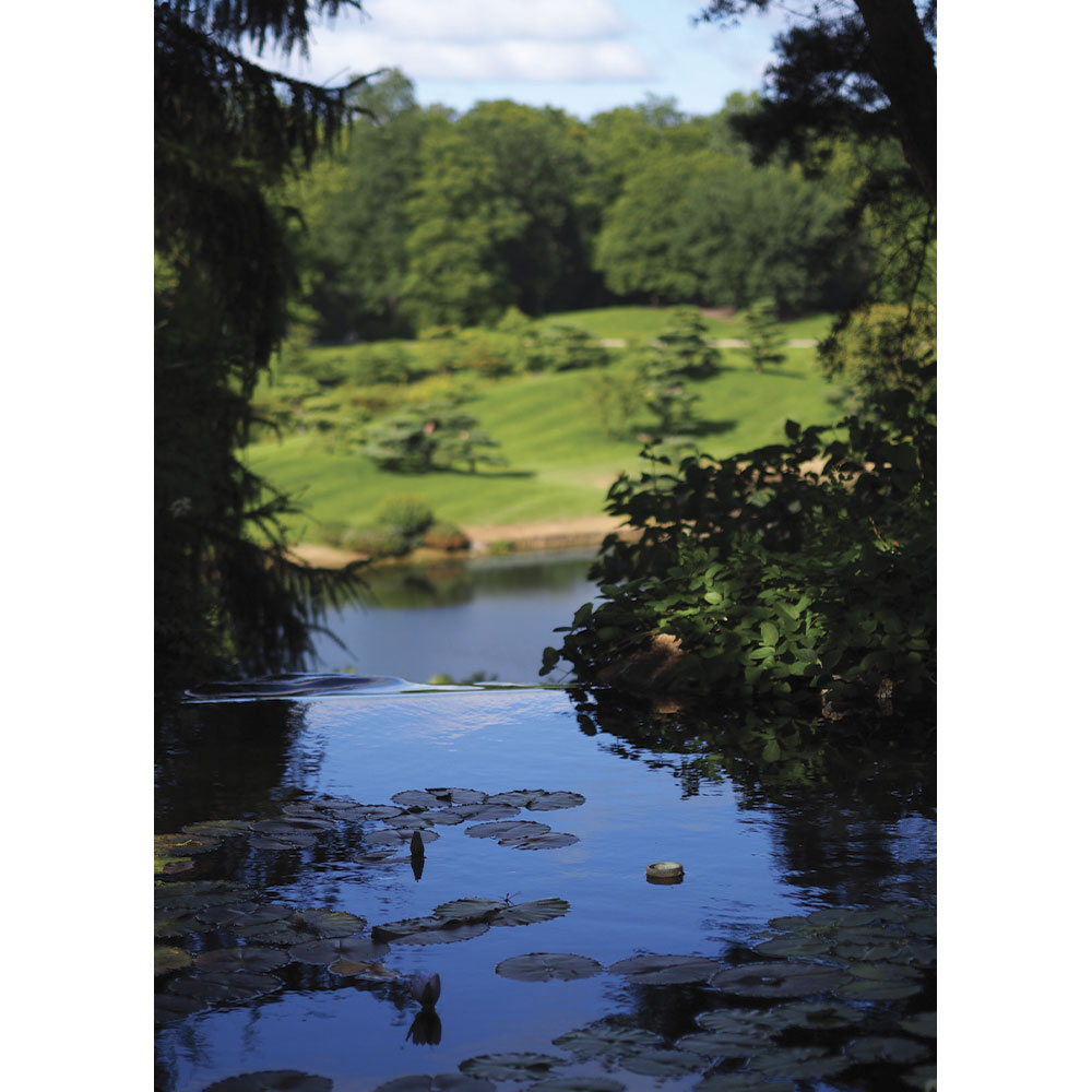 nicole-rhino-photography-water-landscape